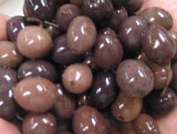 Gaeta Olives (Bulk)